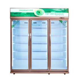 Congelatore verticale commerciale dell'esposizione con la bassa temperatura per i frutti di mare della carne