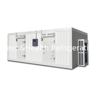 Congelatore per sale freddo personalizzabile con pannelli isolanti durevoli