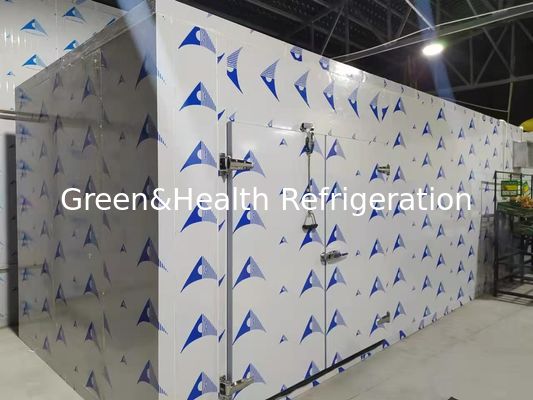 Sala fredda ad alta efficienza energetica con pannelli in PU ad alte prestazioni