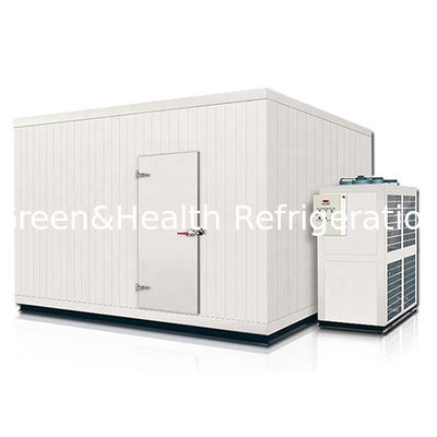Commercial Food Storage Room Cold Storage Room Indoor Walk-In Freezer Con Pavimento