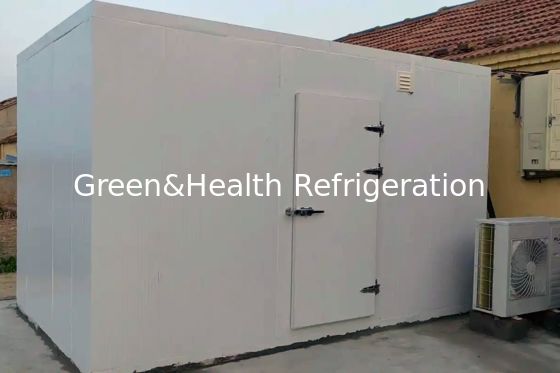 Pannello di isolamento PU e raffreddatore d'aria evaporatore di pesce di stoccaggio congelatore per le vostre esigenze aziendali