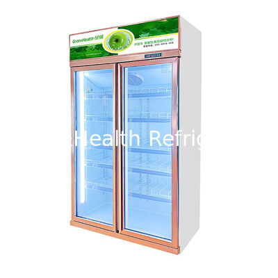 Congelatore commerciale con due porte di vetro di defoggio e sistema di raffreddamento montato in cima, capacità 1154L