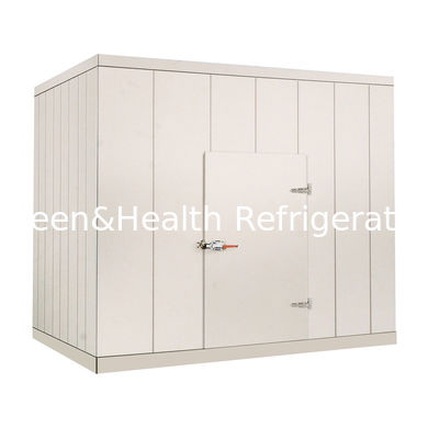 220V / passeggiata commerciale 380V nella stanza più fredda per i frutti di mare di verdure della carne