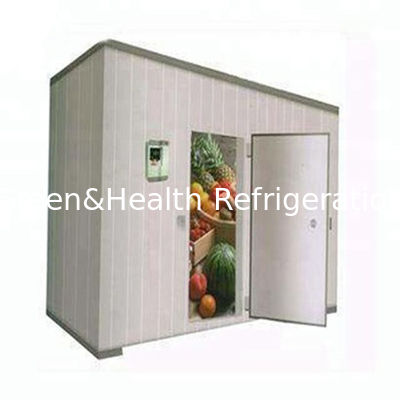 Stanza automatica completa di conservazione frigorifera per il pollo del pesce con il materiale duro del centro della schiuma di poliuretano