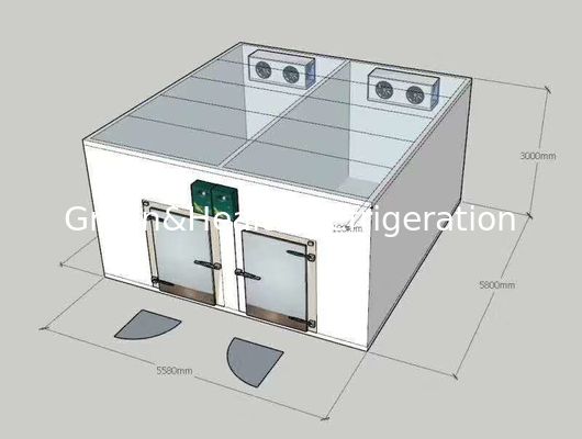 Passeggiata nei dispositivi di raffreddamento combinati a doppia temperatura del congelatore/cella frigorifera