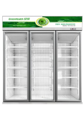 Dispositivo di raffreddamento commerciale verticale dell'esposizione della bevanda del congelatore dell'esposizione del supermercato dell'OEM